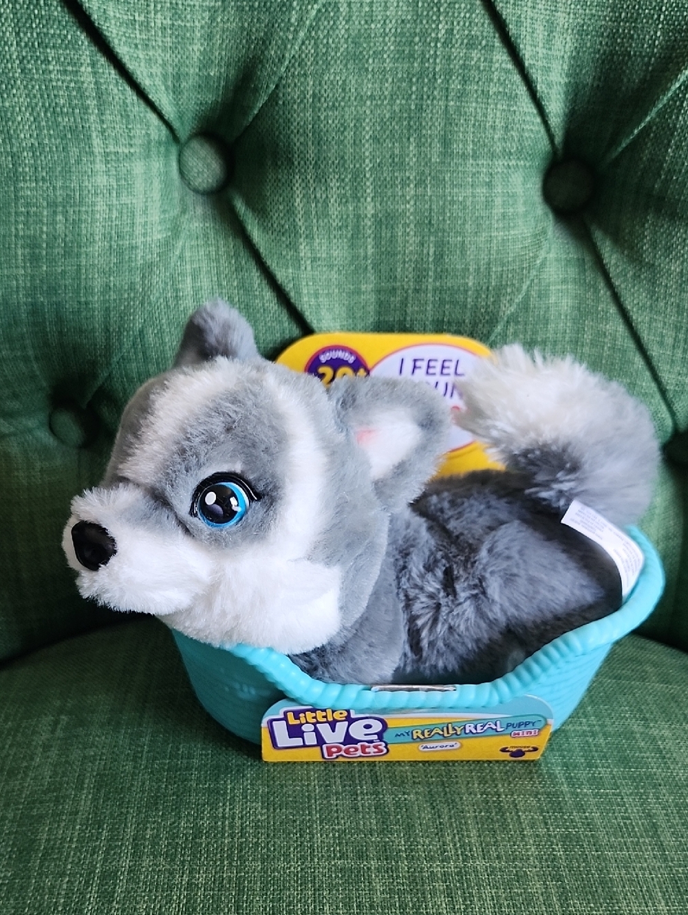 Little Live Pets Grey Husky Plush Puppy in Blue Bed